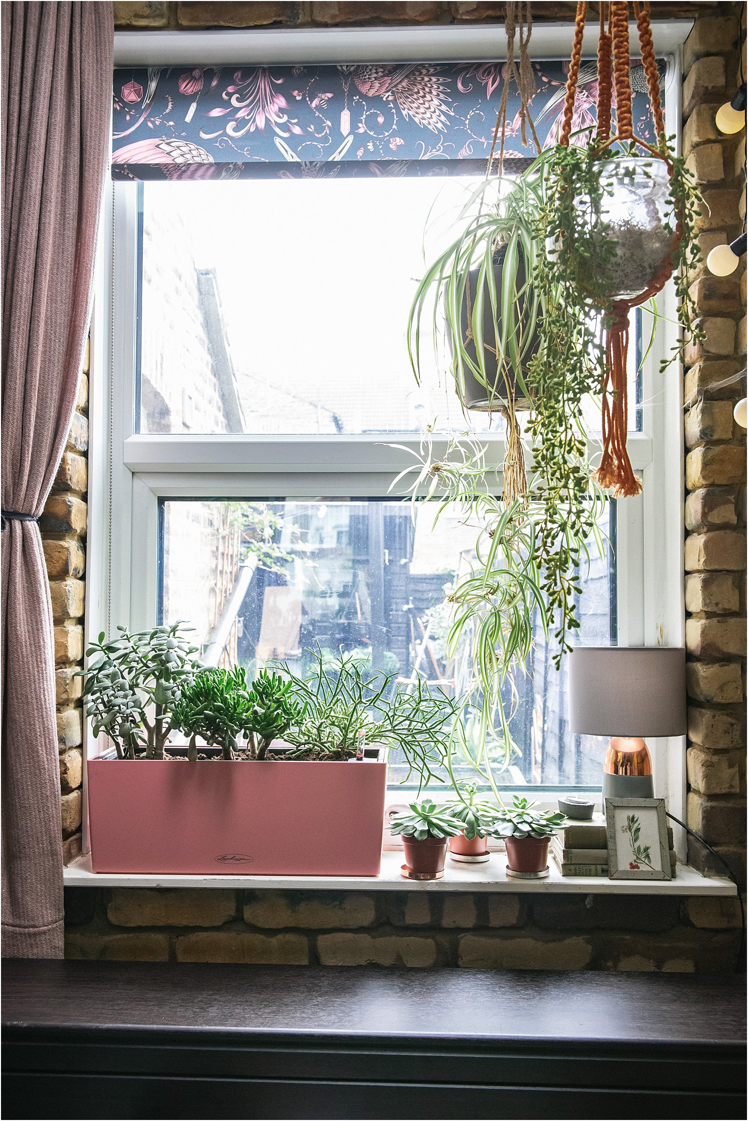 2 Types of self-watering planters: a product review