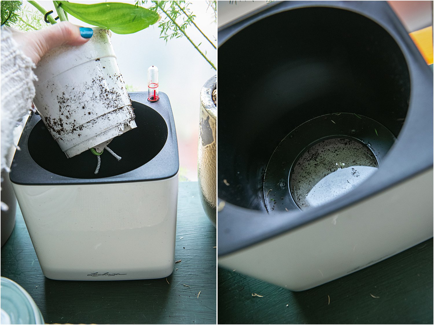 2 Types of self-watering planters: a product review