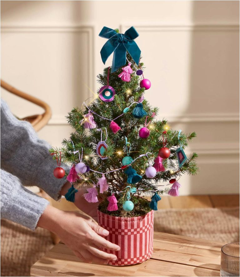 Top Christmas Gift Ideas 2022