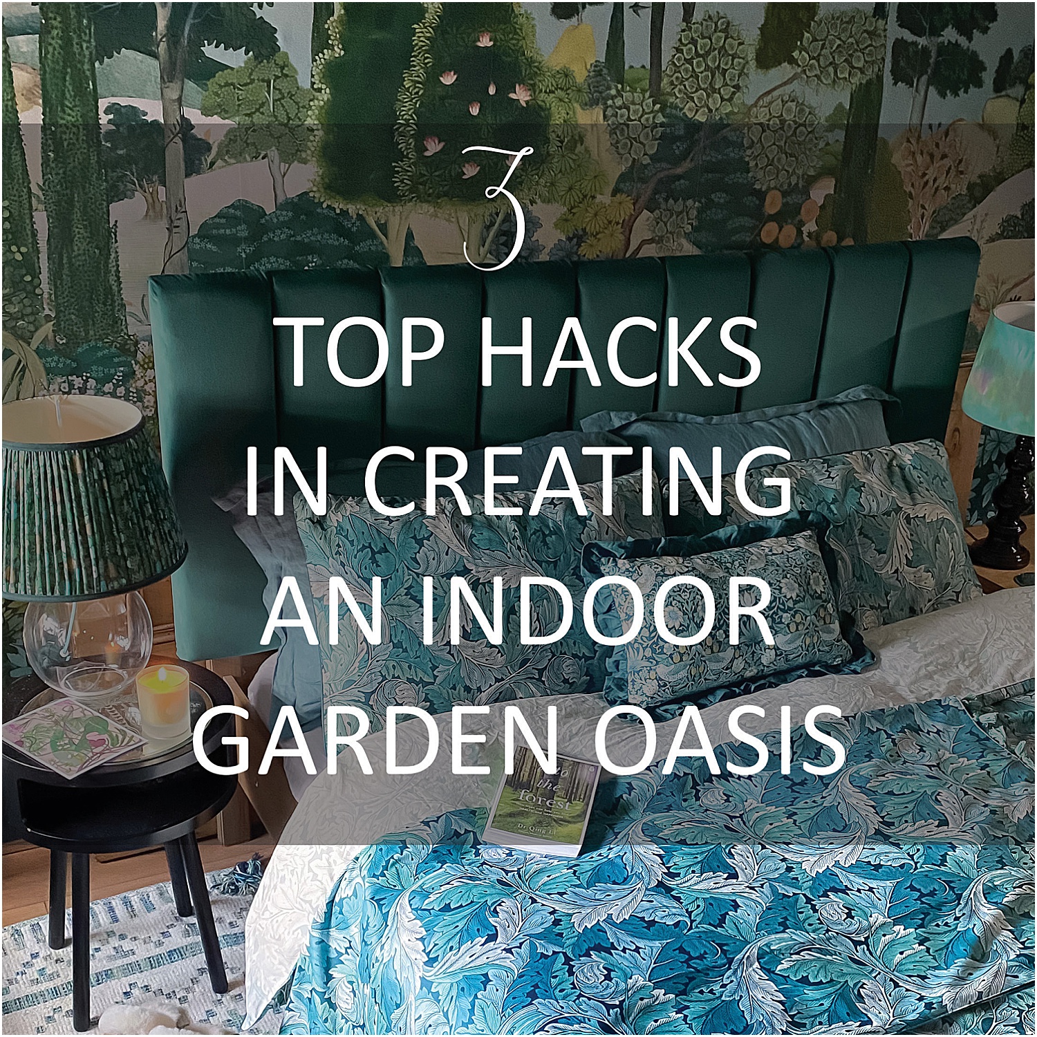 3-Top-Hacks-in-Creating-an-Indoor-Garden-lily-sawyer